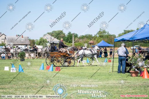 Mintakép 20260822-2471