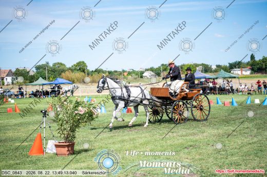 Mintakép 20260822-2493