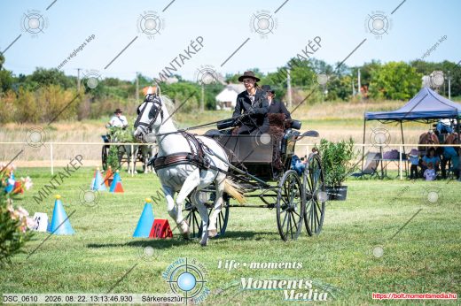 20260822-131346-DSC_0610.jpg