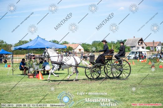 Mintakép 20260822-2501