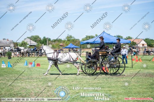Mintakép 20260822-2503