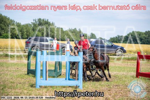 Mintakép 20260613-1770