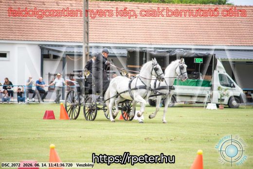 Mintakép 20260614-23