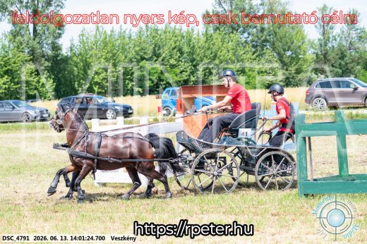 Mintakép 20260613-1773