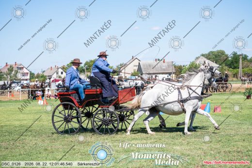 Mintakép 20260822-2566