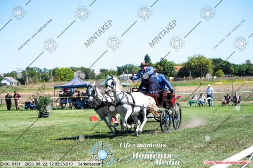 Mintakép 20260822-2569