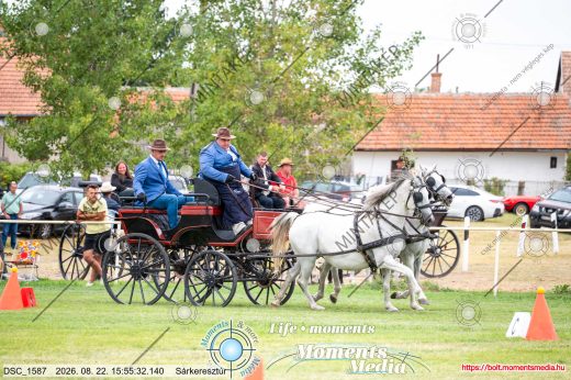 Mintakép 20260822-2584
