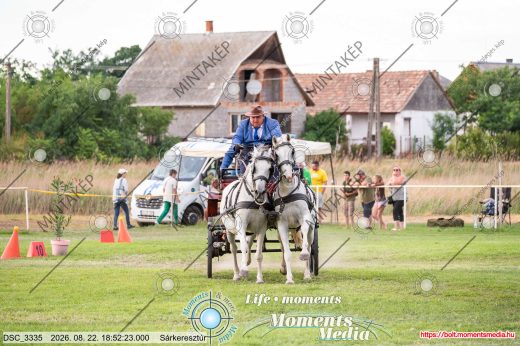 Mintakép 20260822-2606