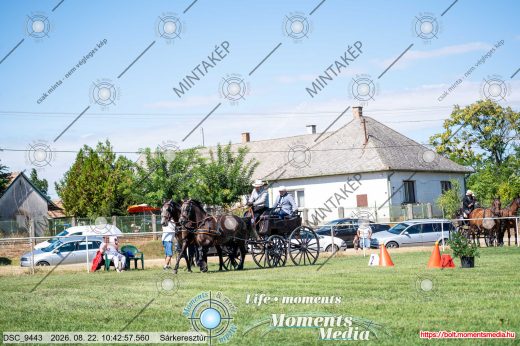 Mintakép 20260822-2626