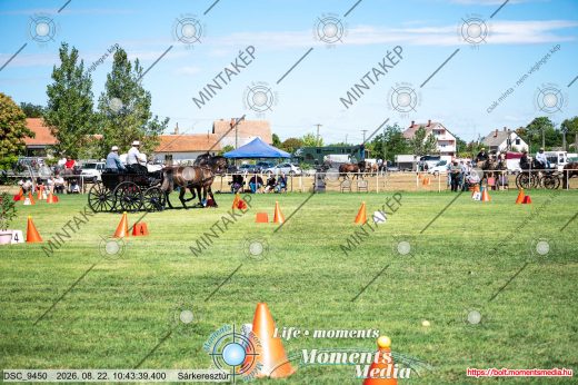 Mintakép 20260822-2631