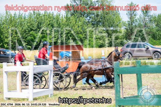 Mintakép 20260613-1780