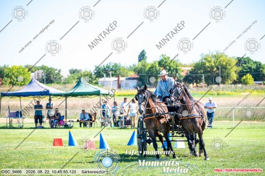 Mintakép 20260822-2638