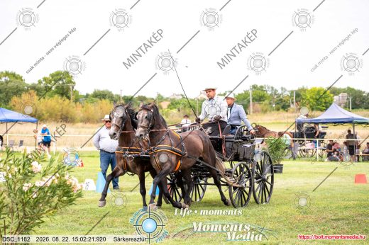 Mintakép 20260822-2643