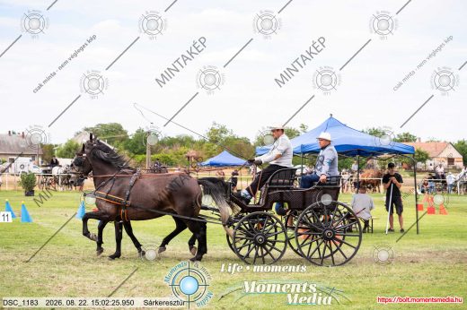 Mintakép 20260822-2644