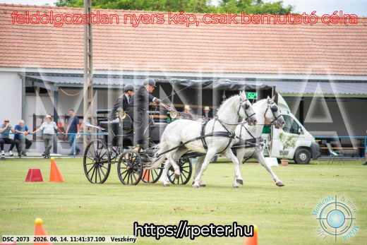 Mintakép 20260614-24