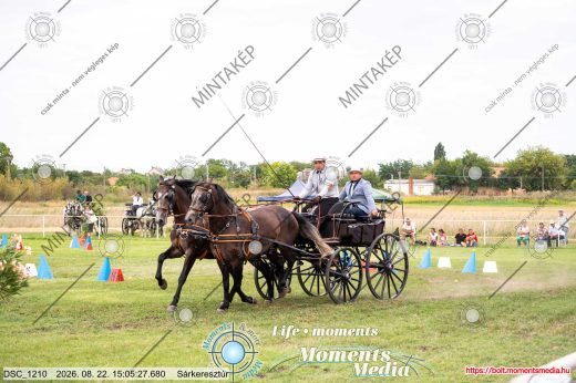 Mintakép 20260822-2658