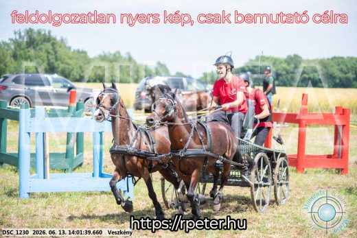 Mintakép 20260613-1783