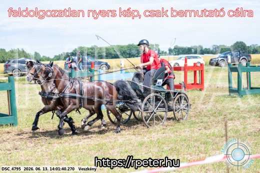 Mintakép 20260613-1785