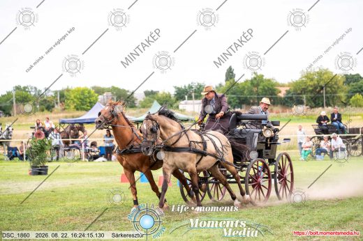 Mintakép 20260822-2694