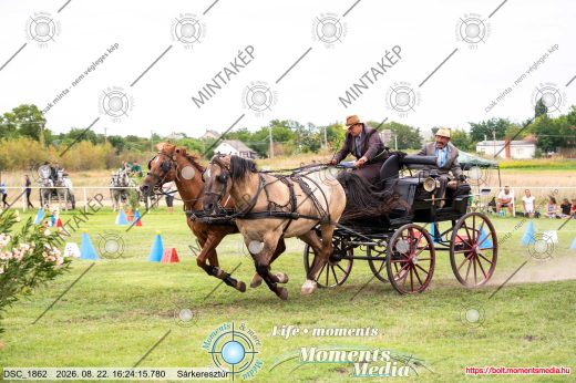 Mintakép 20260822-2696