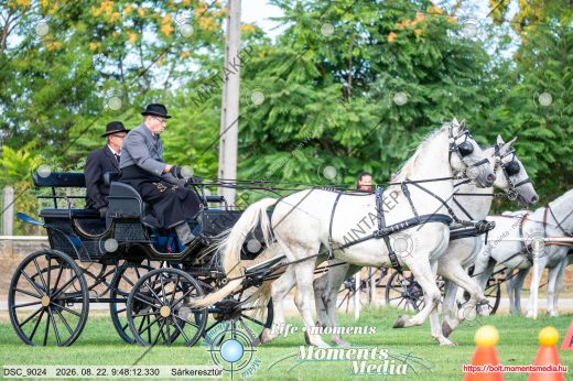 20260822-094812-DSC_9024.jpg