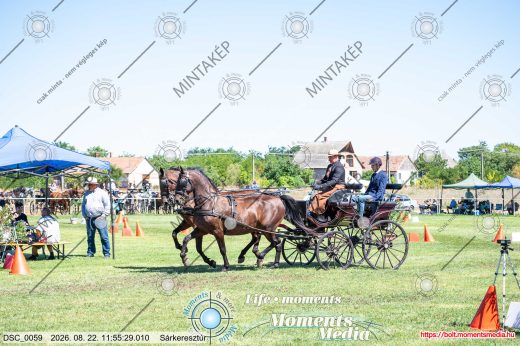 Mintakép 20260822-2750