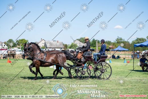 Mintakép 20260822-2752
