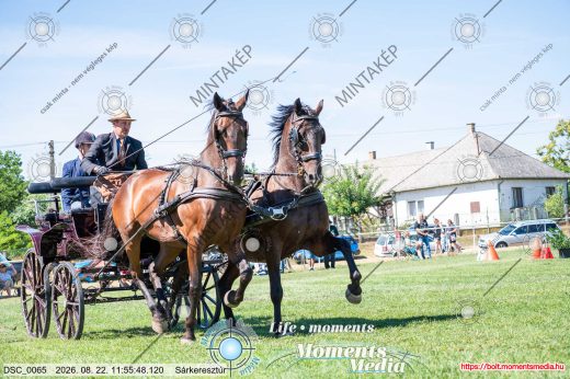 Mintakép 20260822-2754