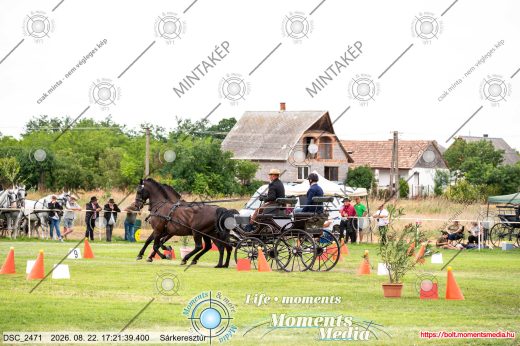 Mintakép 20260822-2802