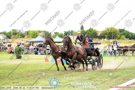 Mintakép 20260822-2809