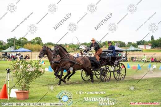 Mintakép 20260822-2812
