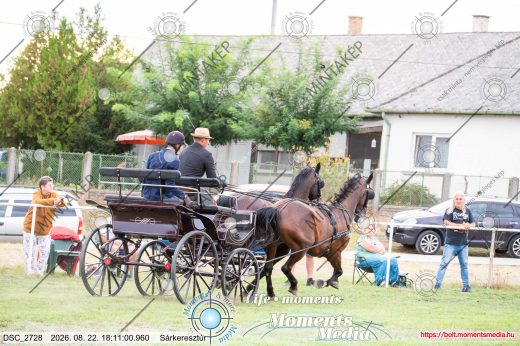 Mintakép 20260822-2825