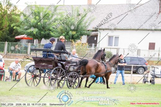 Mintakép 20260822-2826