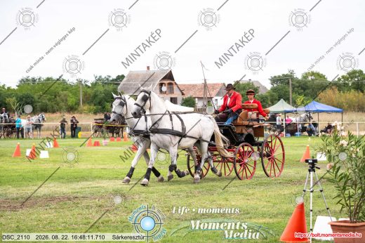 Mintakép 20260822-2859