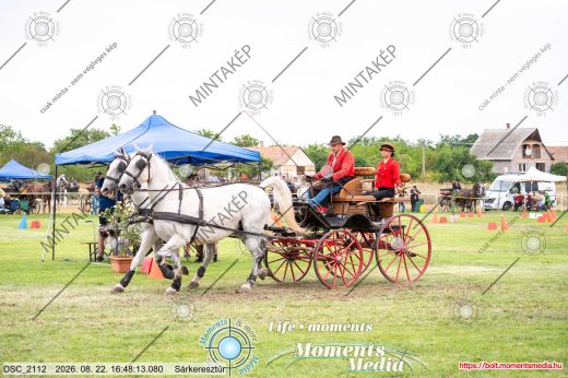 Mintakép 20260822-2861
