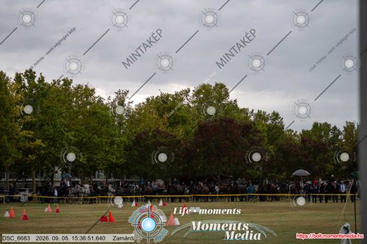 Mintakép 20260905-16