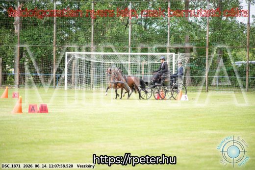 Mintakép 20260614-907