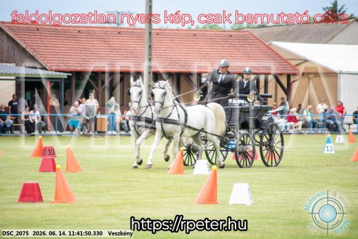 Mintakép 20260614-27