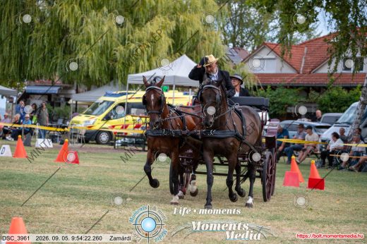 Mintakép 20260905-76