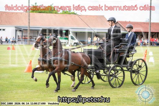 Mintakép 20260614-911