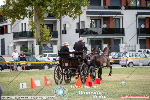 Mintakép 20260905-113