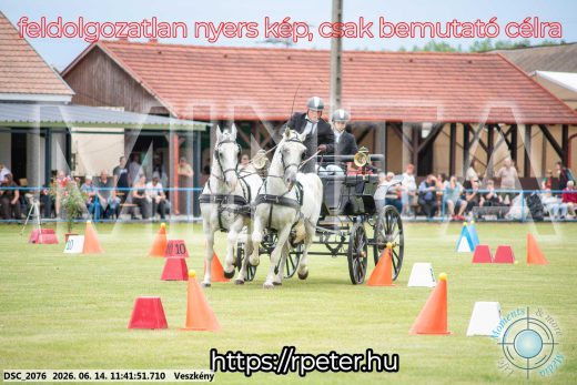 Mintakép 20260614-28