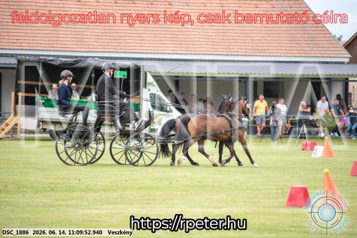 Mintakép 20260614-919