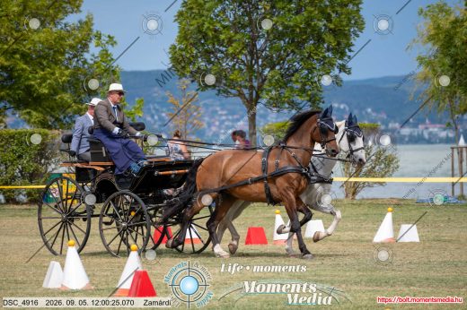 20260905-120025-DSC_4916.jpg