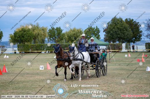 Mintakép 20260905-187