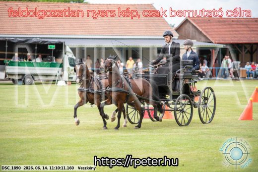 Mintakép 20260614-923