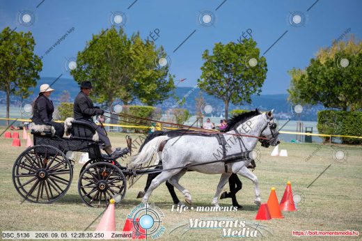 Mintakép 20260905-279