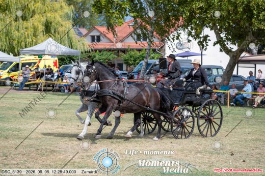 Mintakép 20260905-281