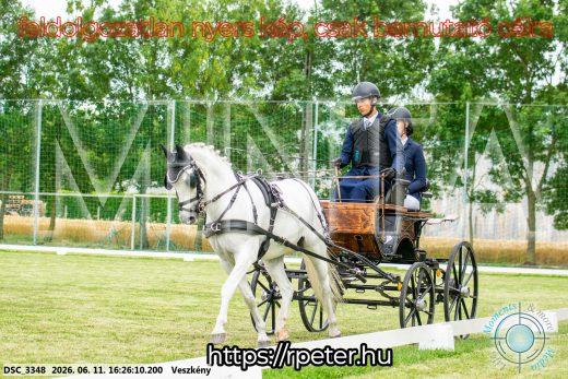 Mintakép 20260611-150