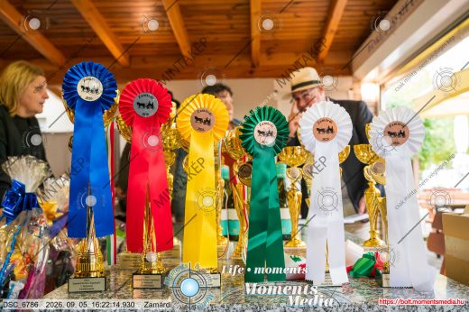 20260905-162214-DSC_6786.jpg